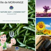 La nature agit, l'homme fait : Semaine 21